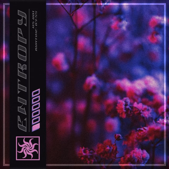 Assurance - Entropy