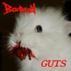 Boarzoy - Computer Lizard