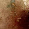 BrickTurnedBlack – Perforated Empathy