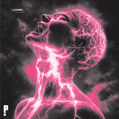 PINKNOISE - LANDMINE