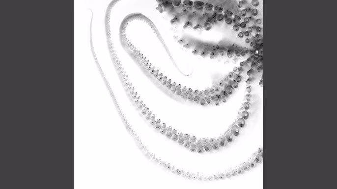 SIMHAE - SPIRAL