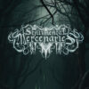 Sentimental Mercenaries – the end