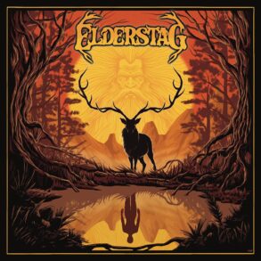 Imagem da capa do Elderstag