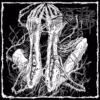 As The Sea Parts – Solace