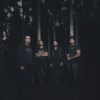Fallen Letters – Monochrome Visions