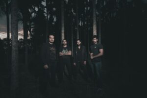 Fallen Letters - Monochrome Visions