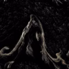 Oshira – Fisura