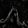 Oshira – Fisura
