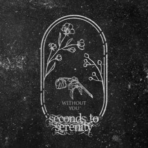 Seconds To Serenity - Without You