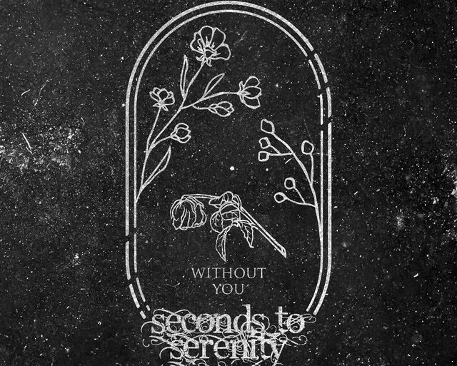 Seconds To Serenity - Without You