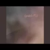 Symbolic Field - Transition