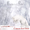 Blackened Rose – Crimson Red Snow