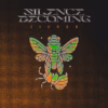 Silence Becoming – Cicada