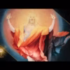 Craig Bannerman – I am the resurrection and the life