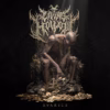 Living Hollow – Lost In The Mire