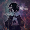 Parallel Motion – Light