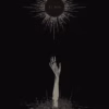 SednA – Amarok