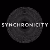 Synchronicity – Synchronicity/Meaningful Coincidence
