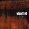 while(true) – Cinder