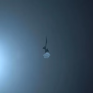 2SILENT – CATHARTIC