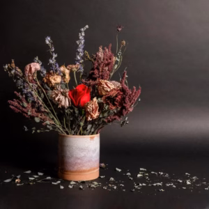 Lower Still – ANOTHER LIFE