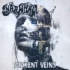Gnarwhal – Ancient Veins