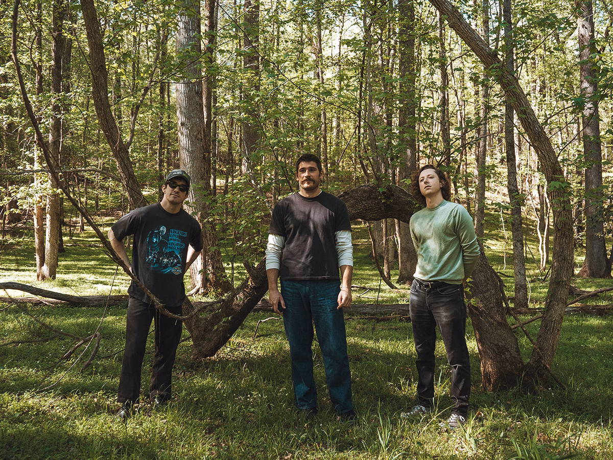 Gooseberry – Fault Lines