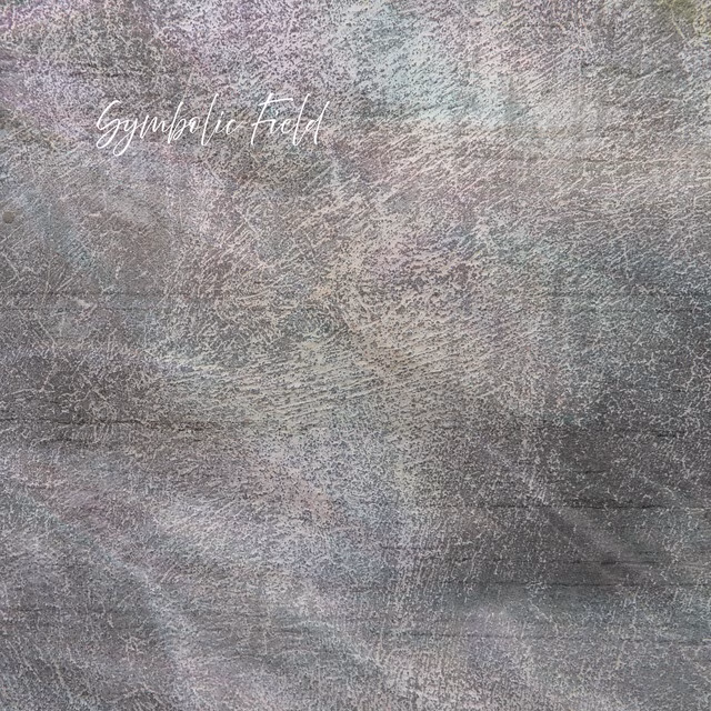 Symbolic Field – The Fallout