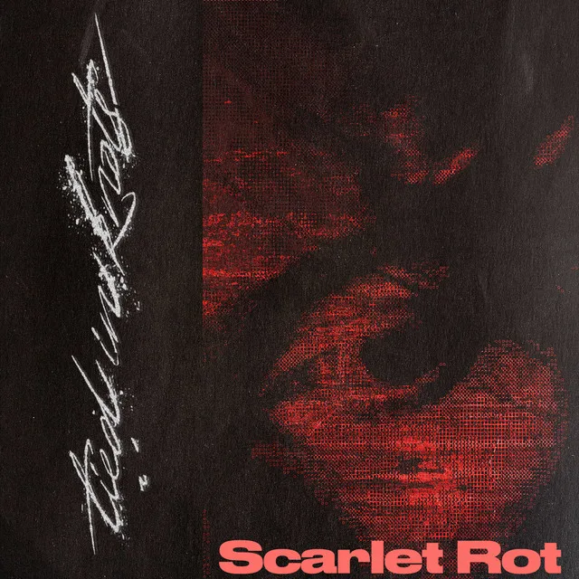 Tied In Knots – Scarlet Rot